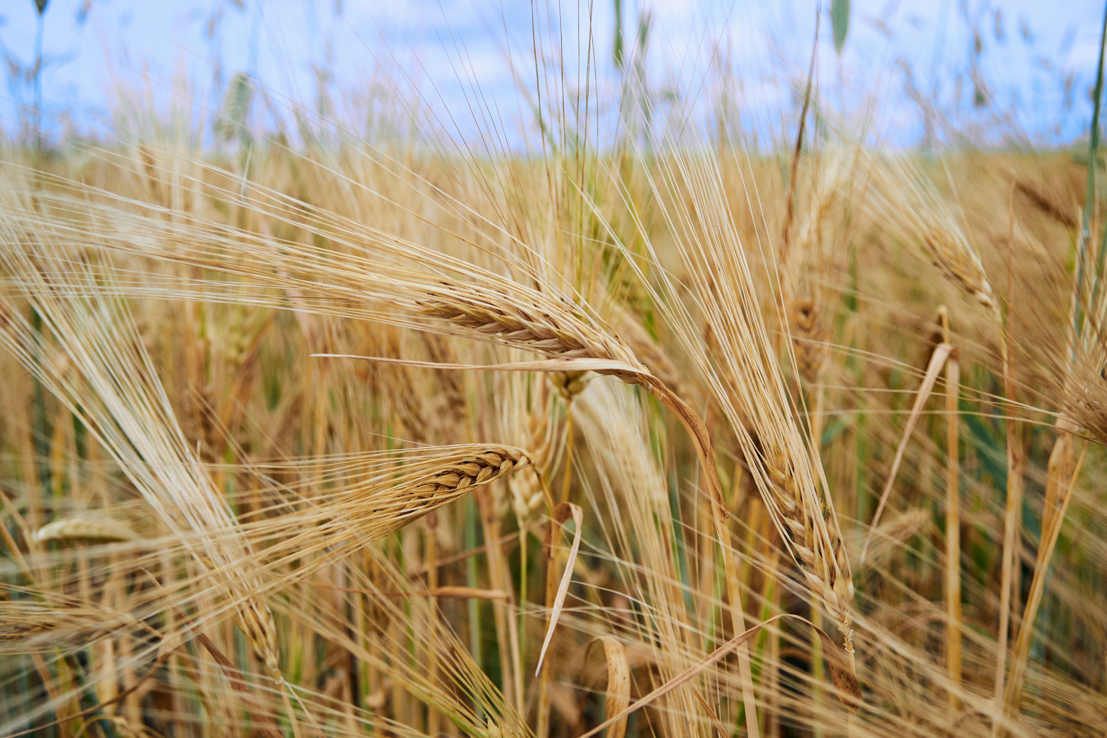 Photo by hannaxsulphur