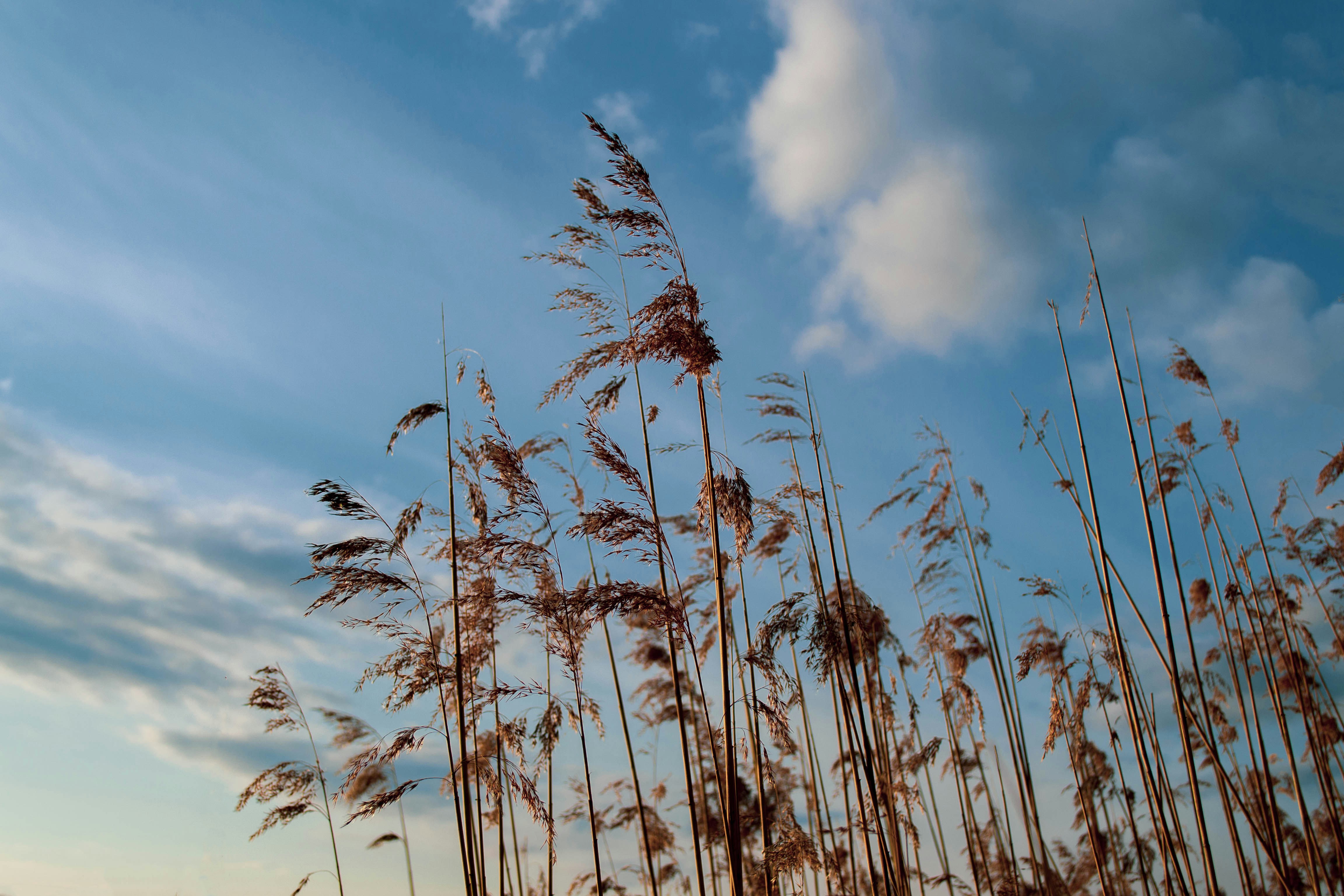 Photo by hannaxsulphur