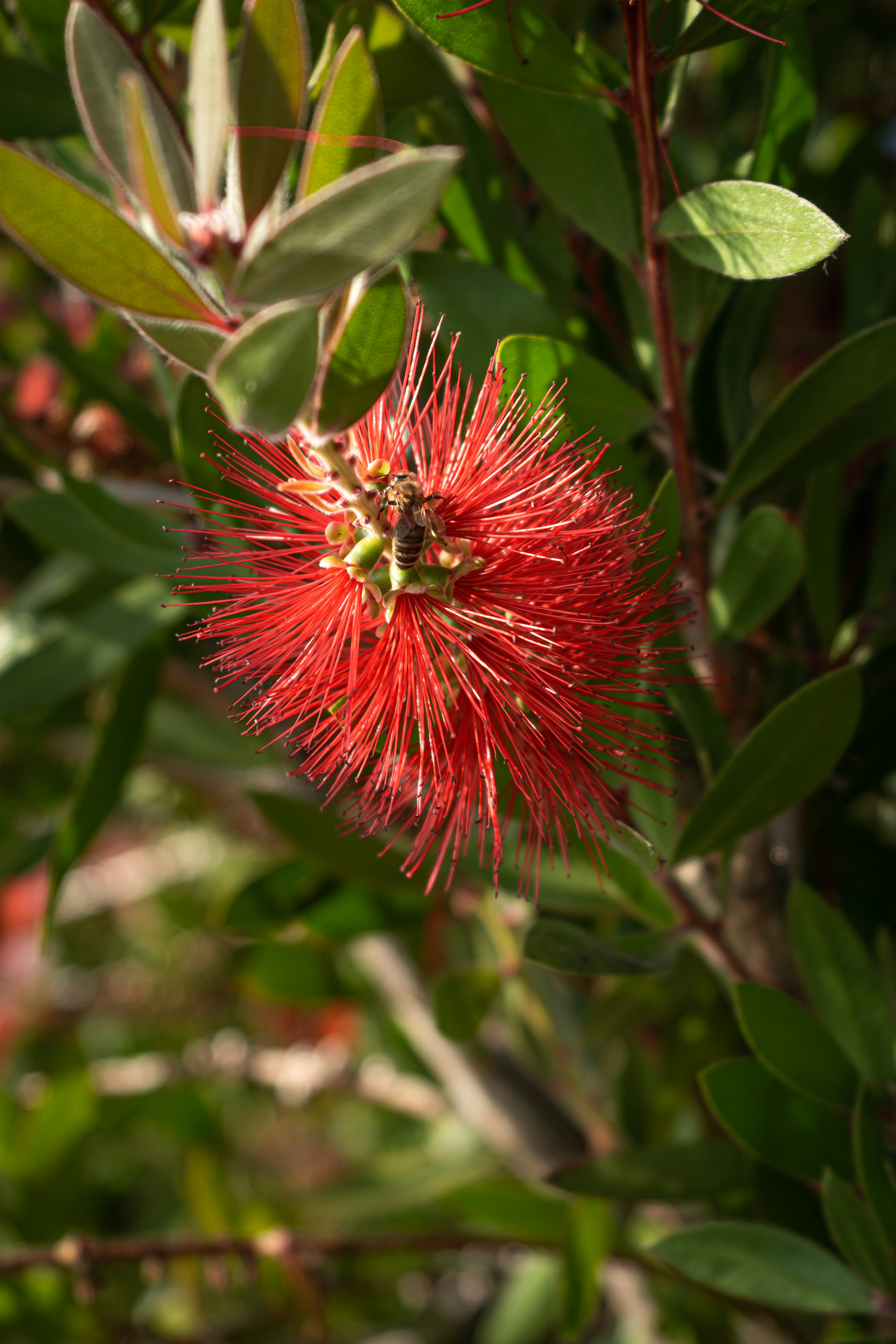 Photo by brynnpedrick