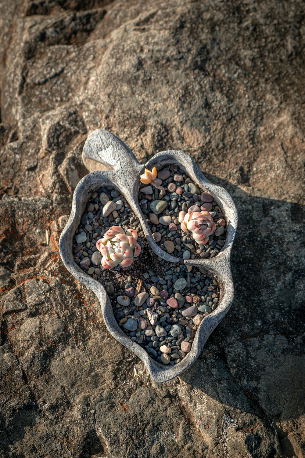 a couple of spoons that are sitting on some rocks