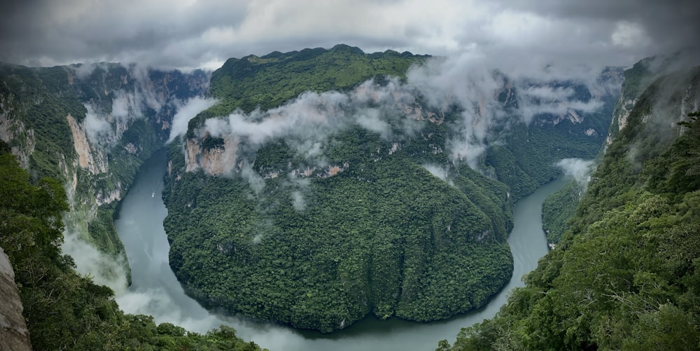 a river flowing through a lush green forest