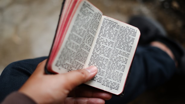 Close-up of a hand holding an open book with clean, elegant typography on white pages.