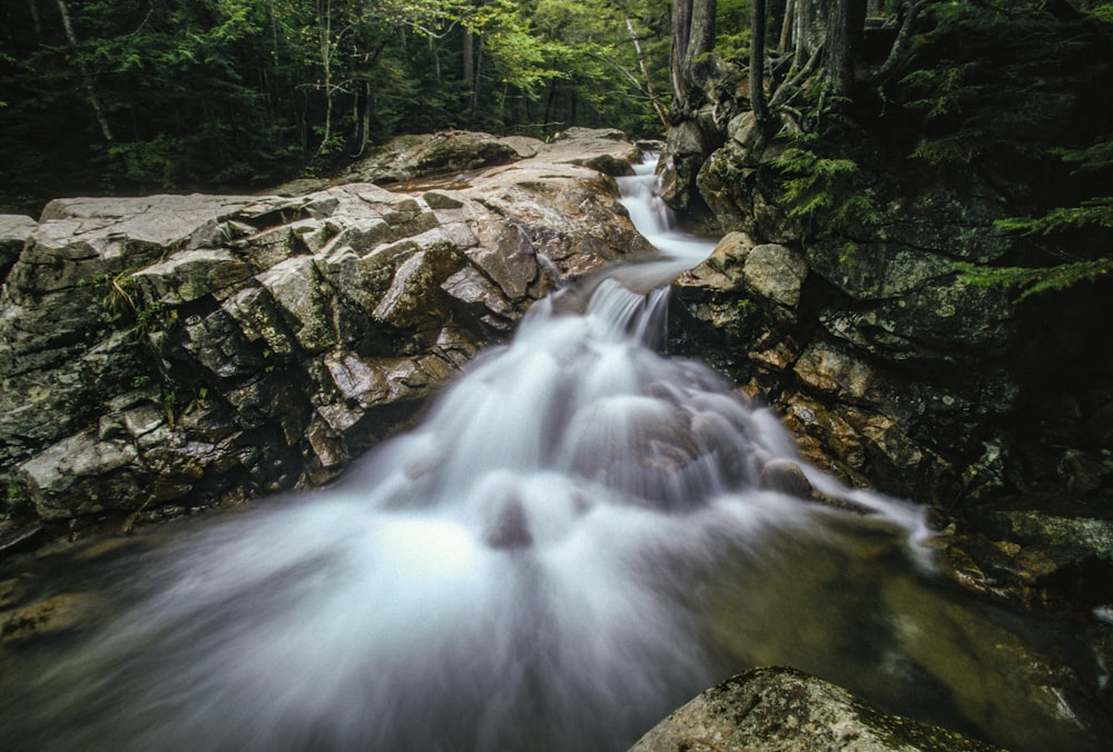 a small waterfall in the middle of a forest