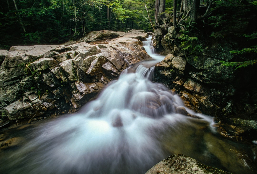 a small waterfall in the middle of a forest