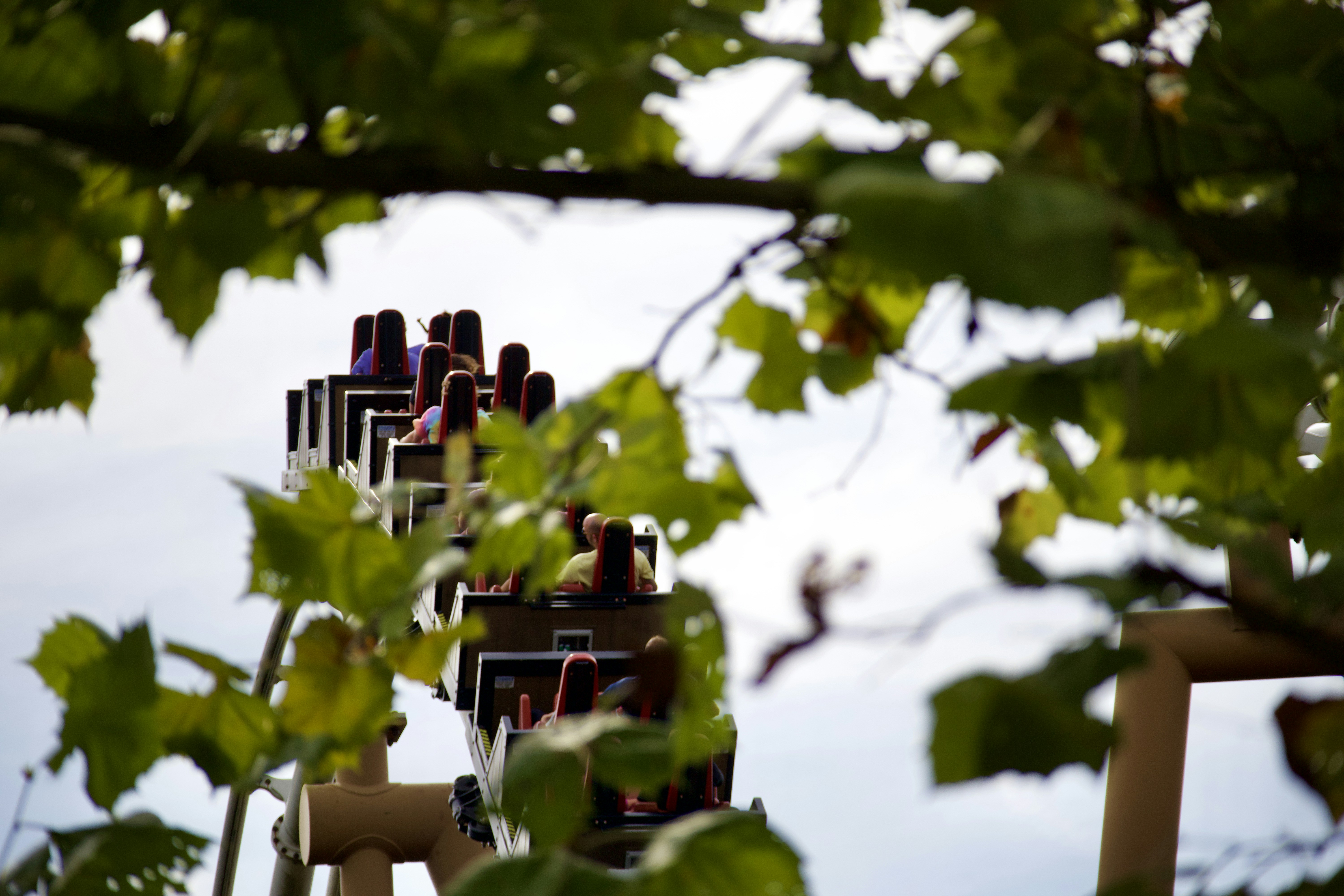 theme park roller coaster