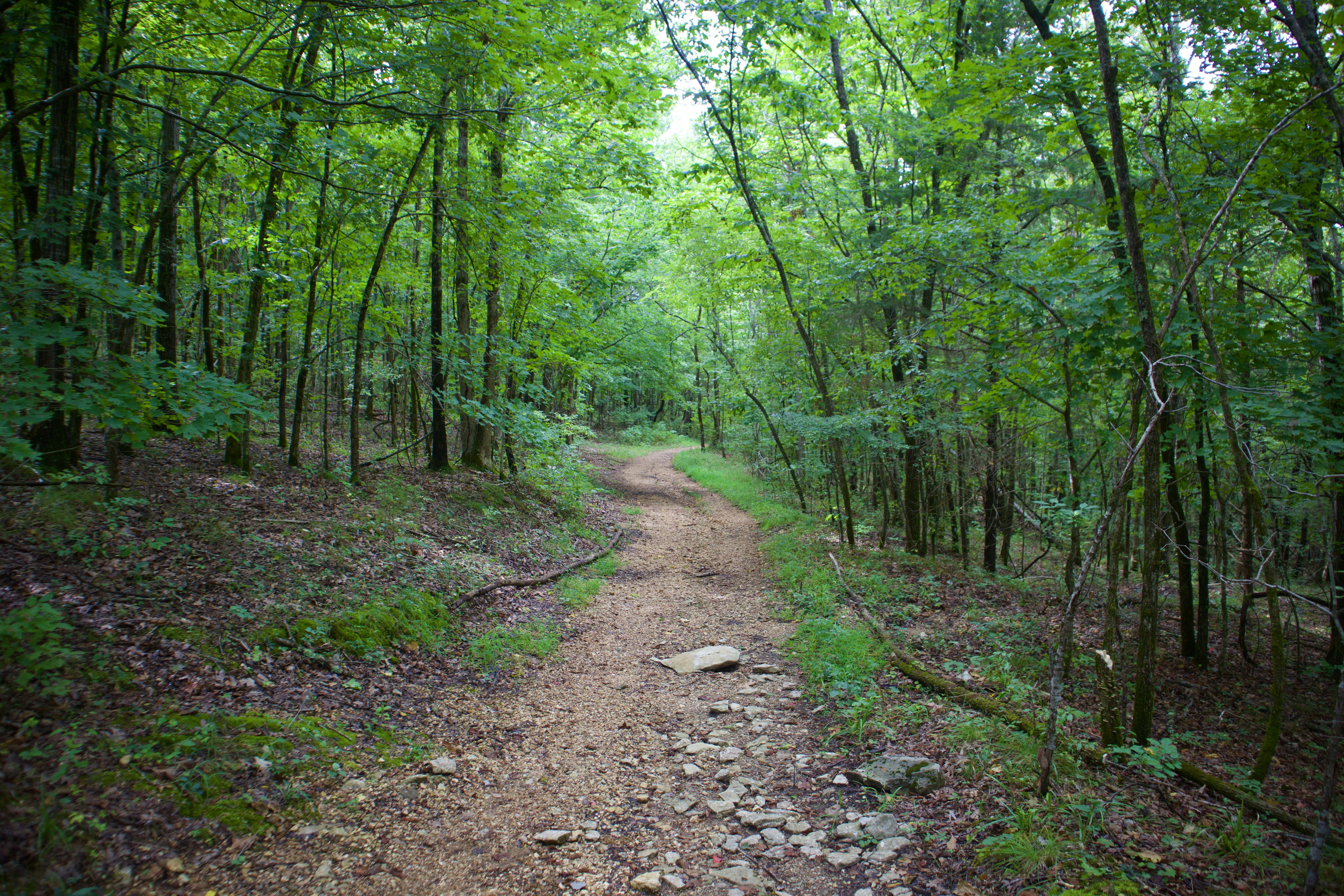 Photo by theenthusedlife