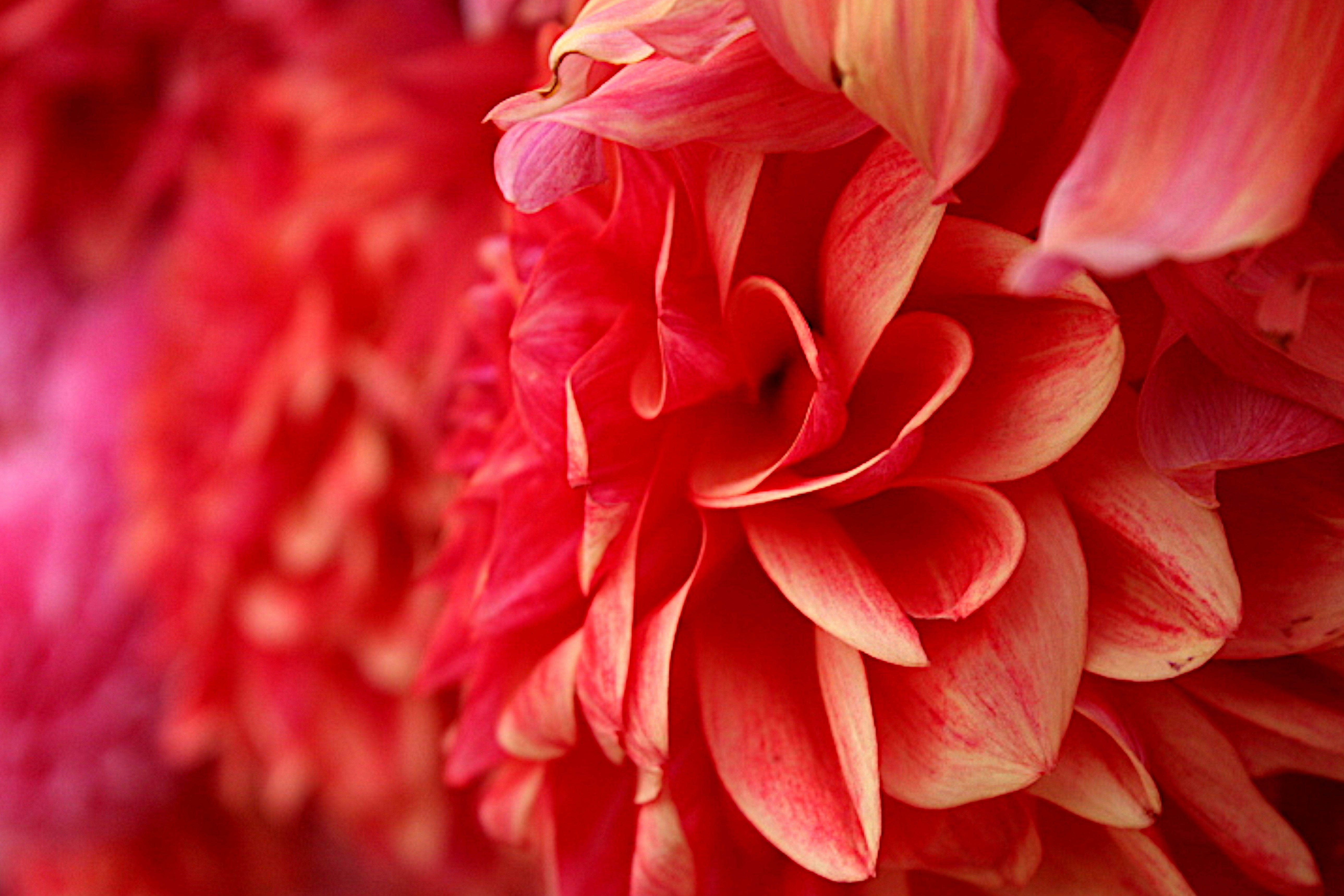 Photo by isaacstevenlind