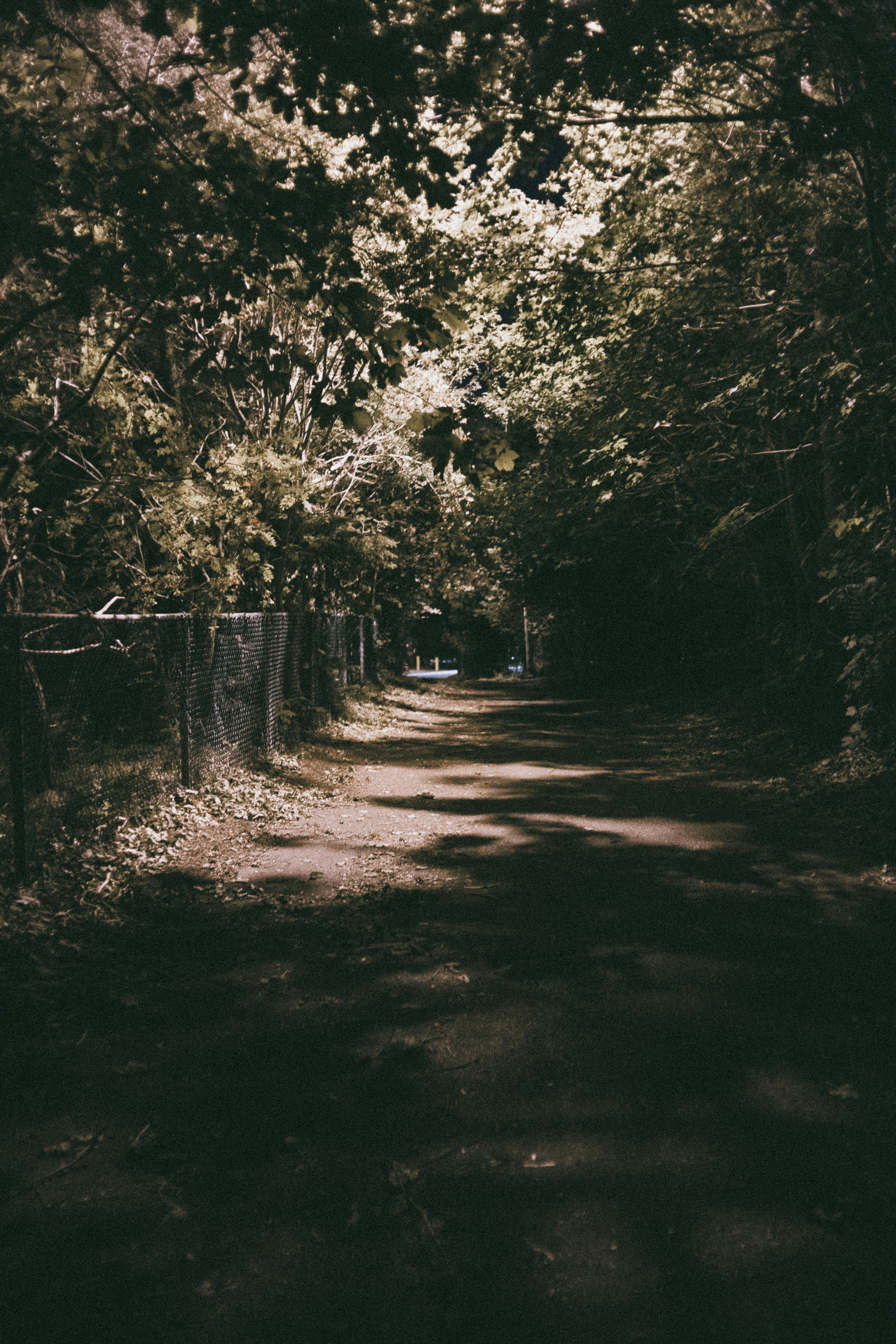 Photo by introspectivedsgn