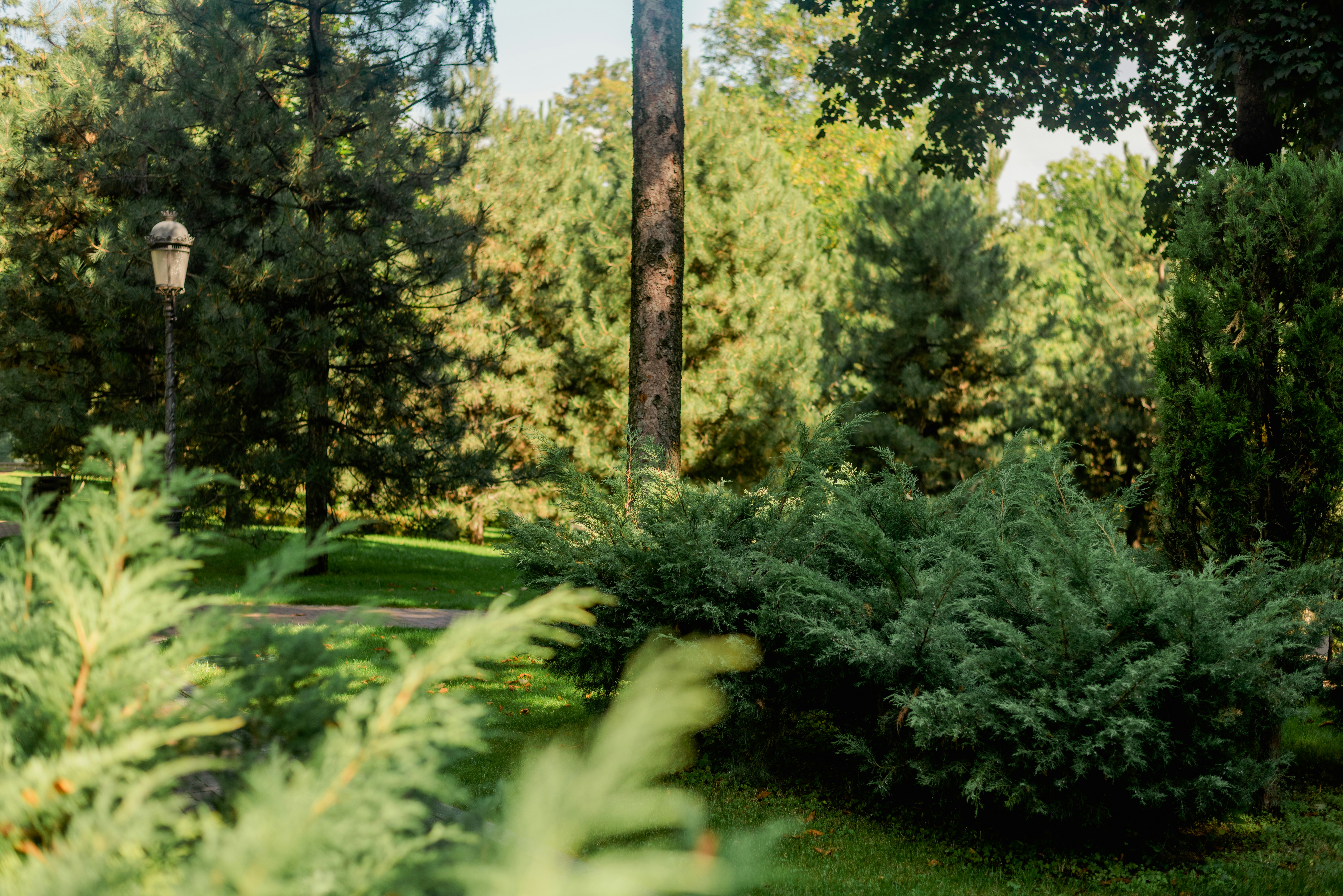 Photo by eugenivy_now