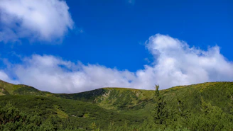 A scenic view of the Caparaó farm nestled in lush green hills under a bright blue sky.