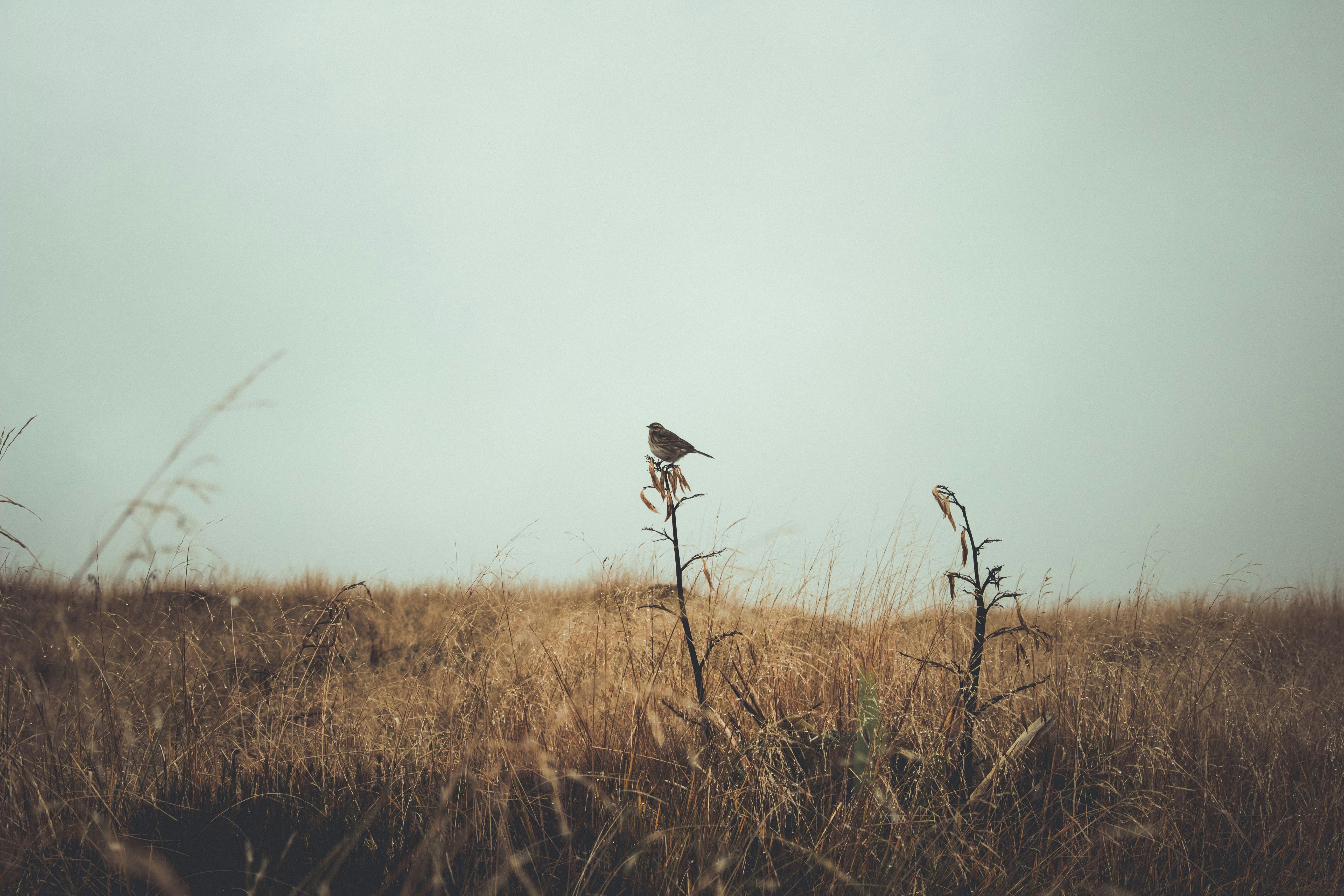 Photo by jasonjsgardner