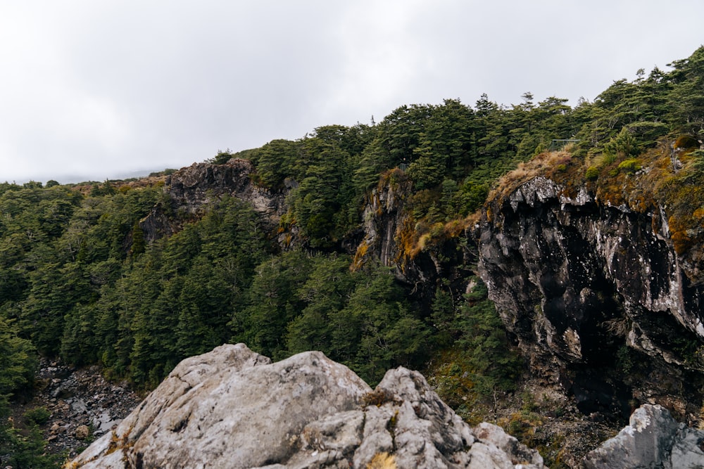 a mountain side with trees and rocks in the foreground