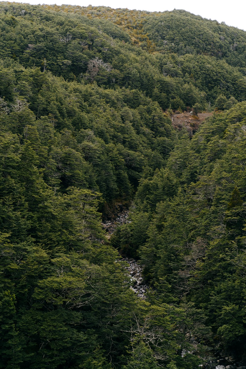 a mountain with a river running through it