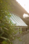 A striped green and white awning is partially visible behind lush green foliage. The setting appears to be a residential or suburban area, with a concrete wall nearby. The sunlight creates a soft, warm glow across the scene, suggesting an early morning or late afternoon ambiance.