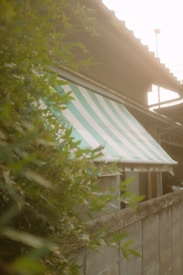 A striped green and white awning is partially visible behind lush green foliage. The setting appears to be a residential or suburban area, with a concrete wall nearby. The sunlight creates a soft, warm glow across the scene, suggesting an early morning or late afternoon ambiance.