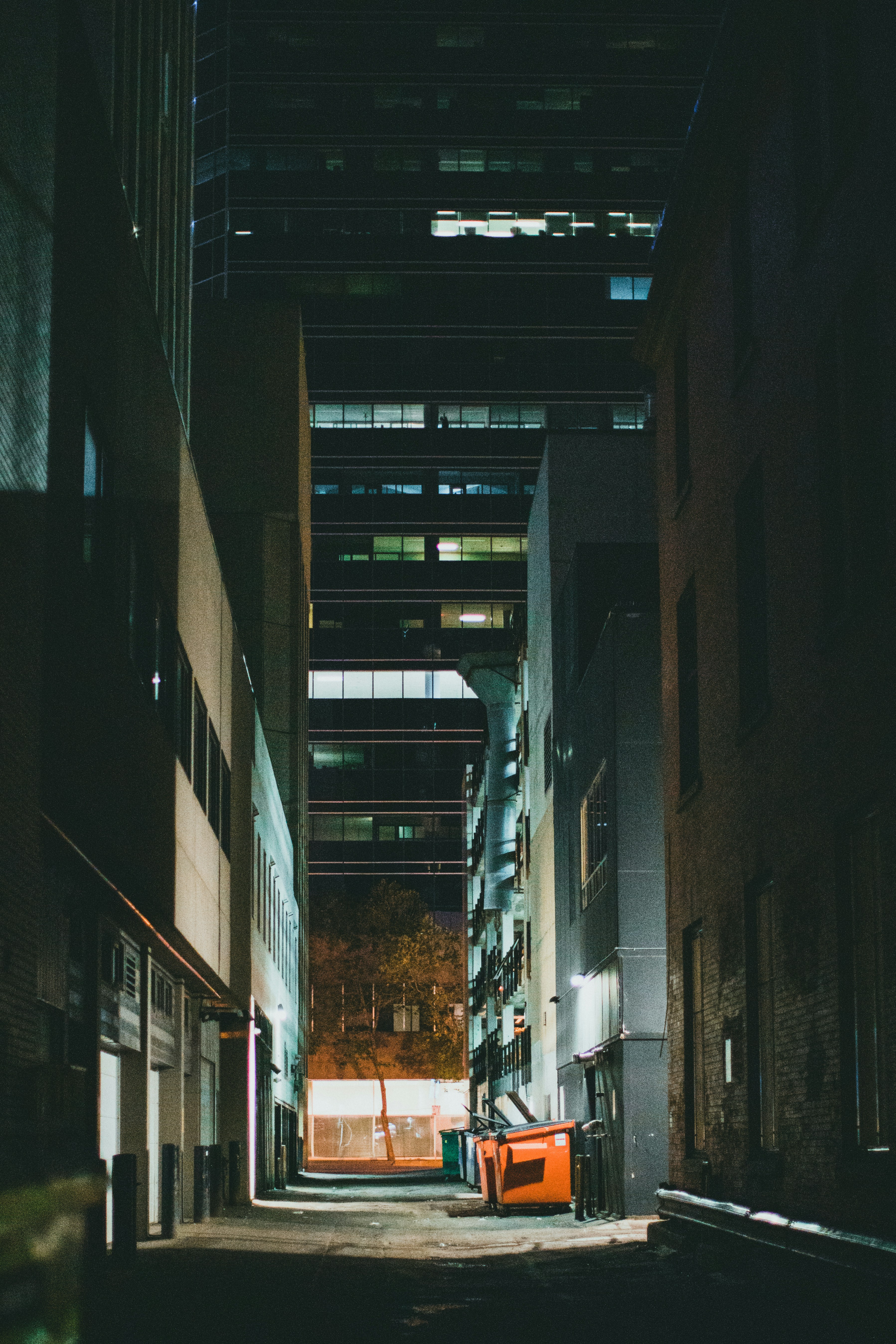 Photo by theshuttervision