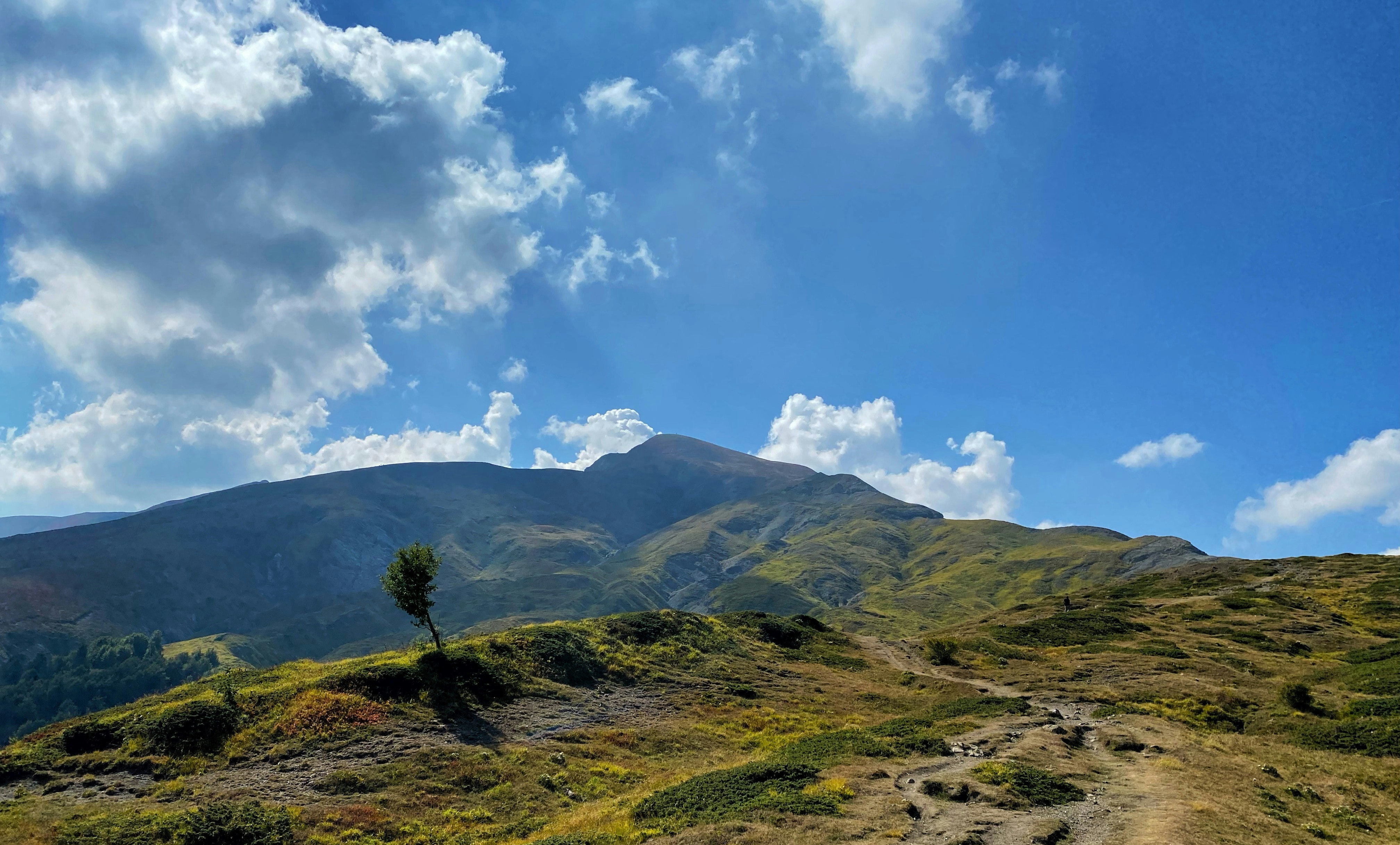 Photo by micheleguan