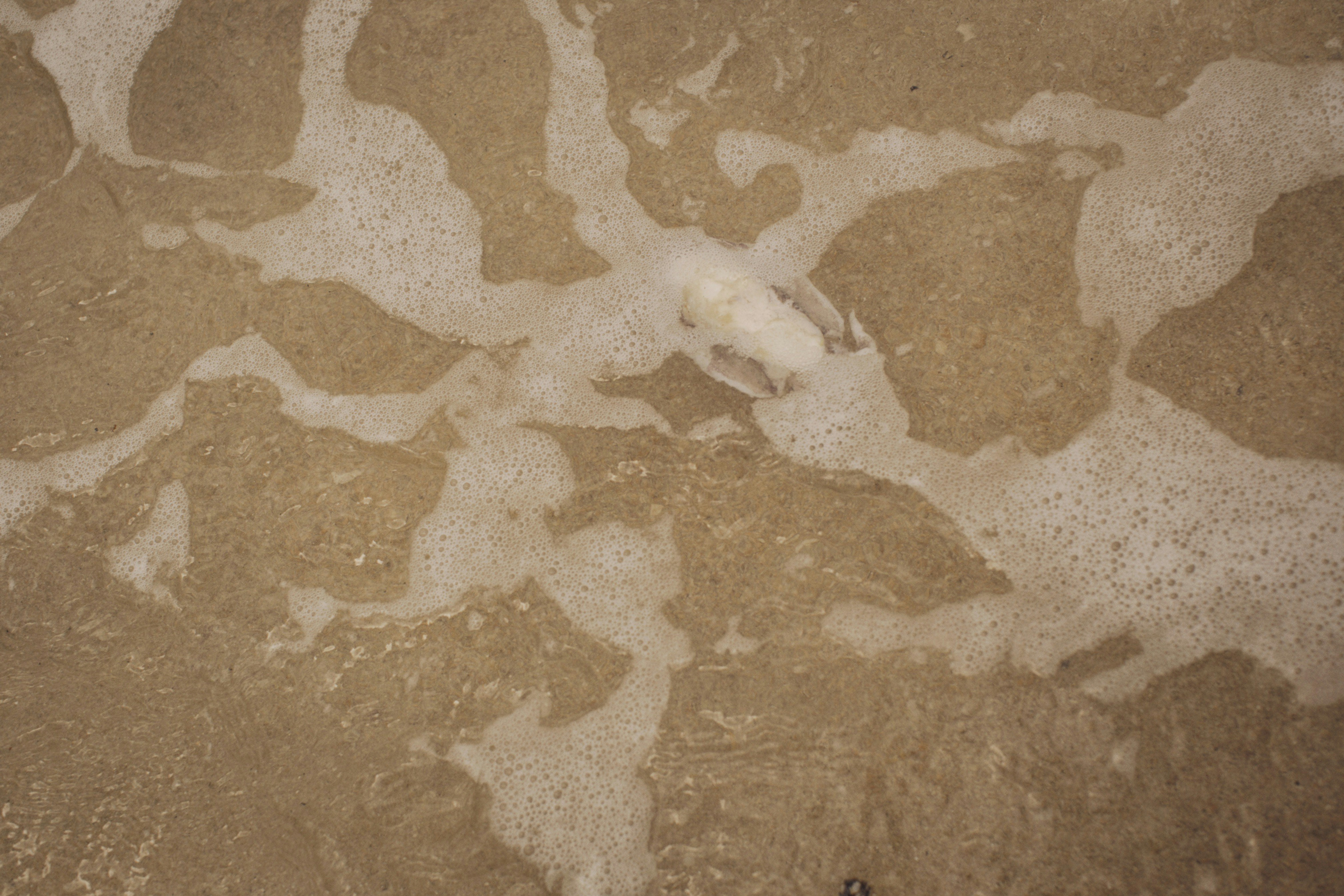 Photo by alexeydemidov