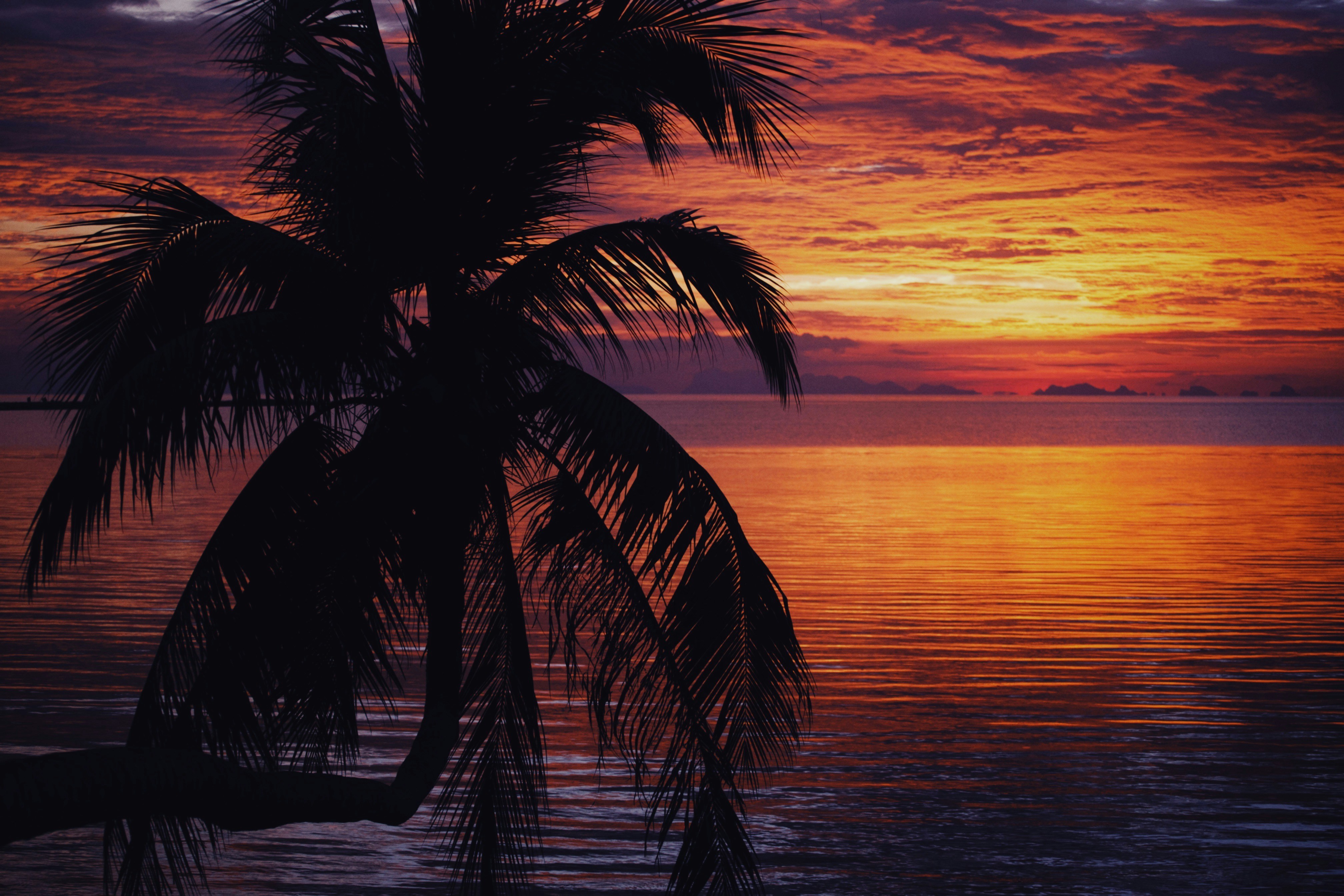 Photo by alexeydemidov