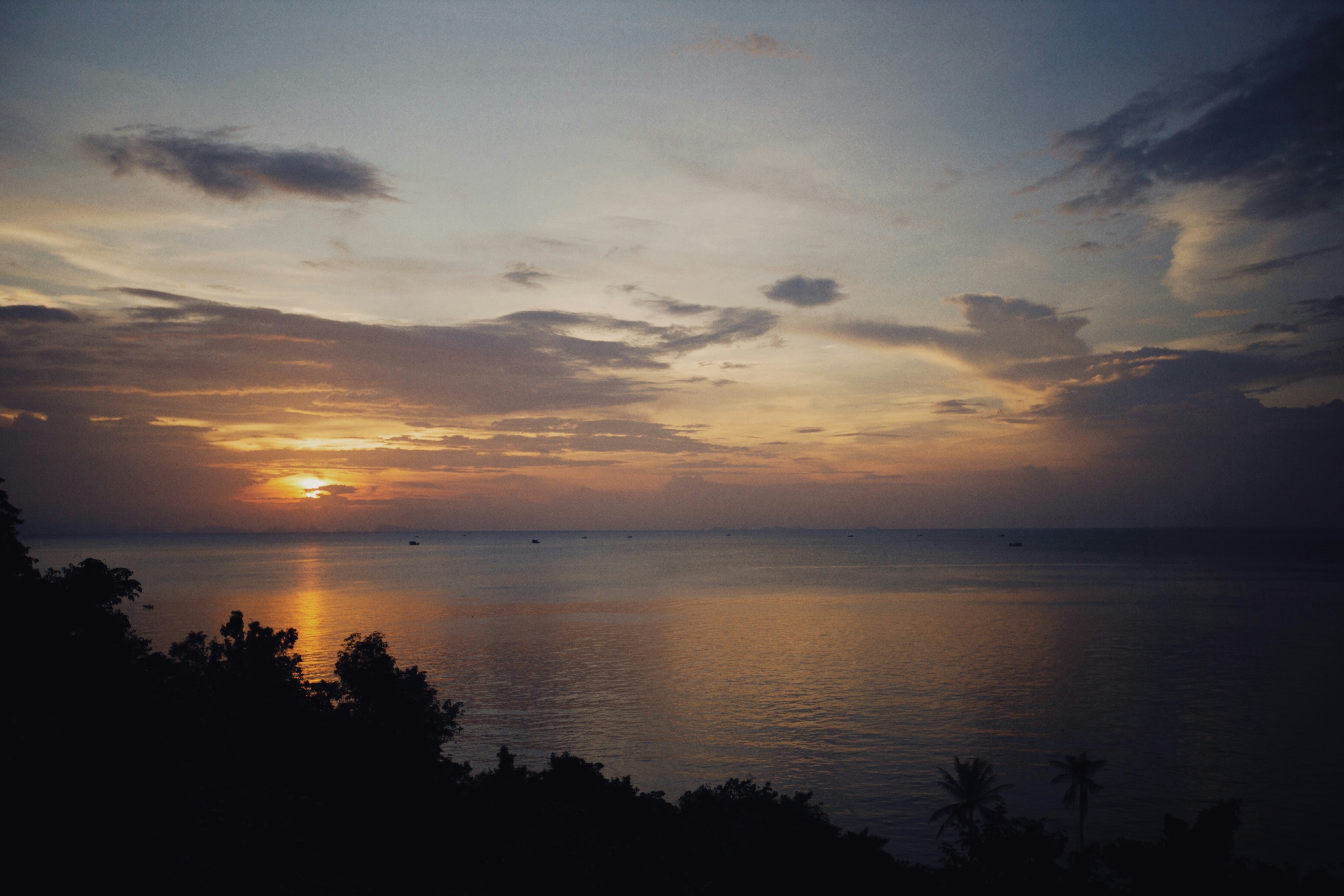 Photo by alexeydemidov