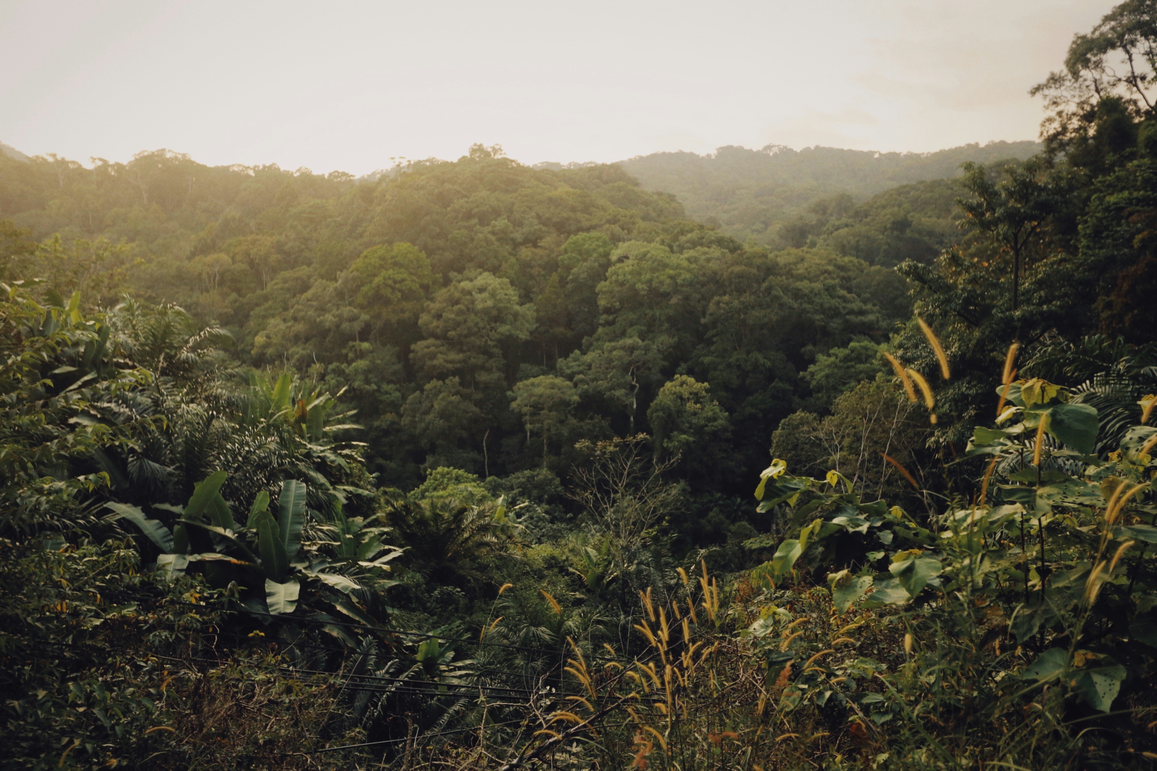 Photo by alexeydemidov