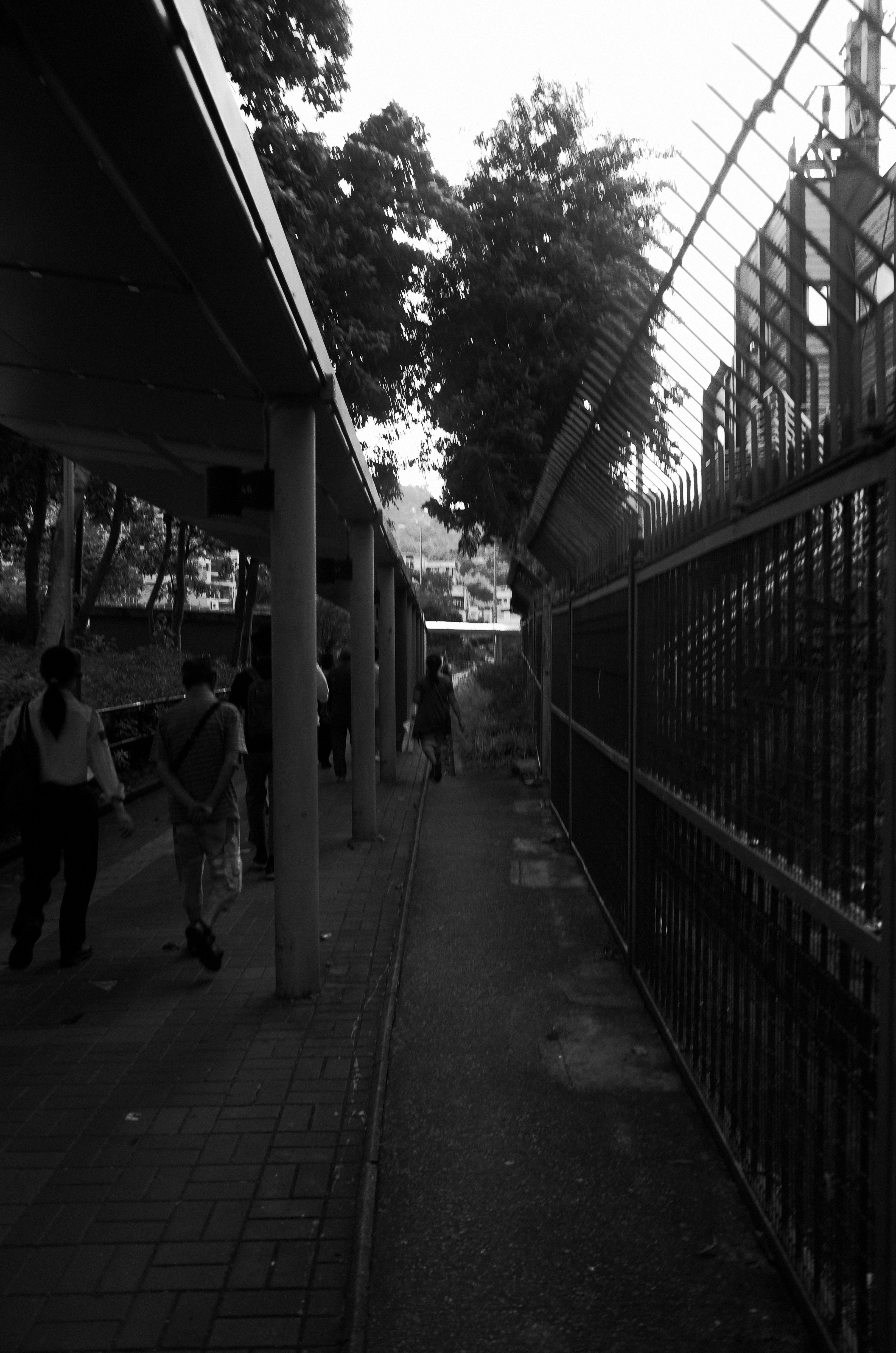 Photo by kirklai