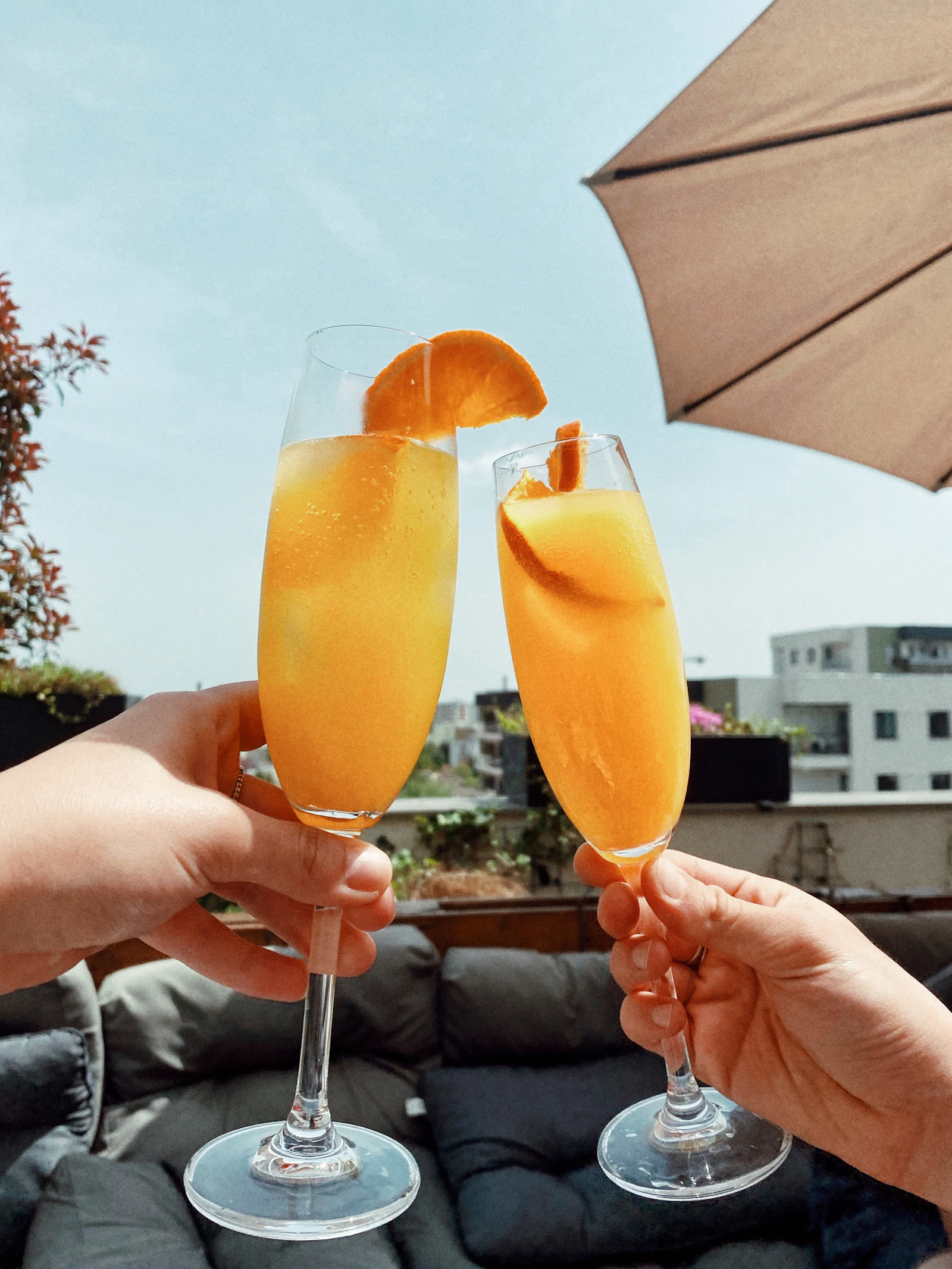 A toast between friends