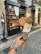A hand holding a large ice cream cone with three different scoops, each a different color, topped with a waffle disc. The ice cream is held near a gelateria storefront with a display of desserts and pastries inside. The street is paved with cobblestones and there is a sign offering a glimpse of the shop's name and branding.