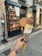 A hand holding a large ice cream cone with three different scoops, each a different color, topped with a waffle disc. The ice cream is held near a gelateria storefront with a display of desserts and pastries inside. The street is paved with cobblestones and there is a sign offering a glimpse of the shop's name and branding.