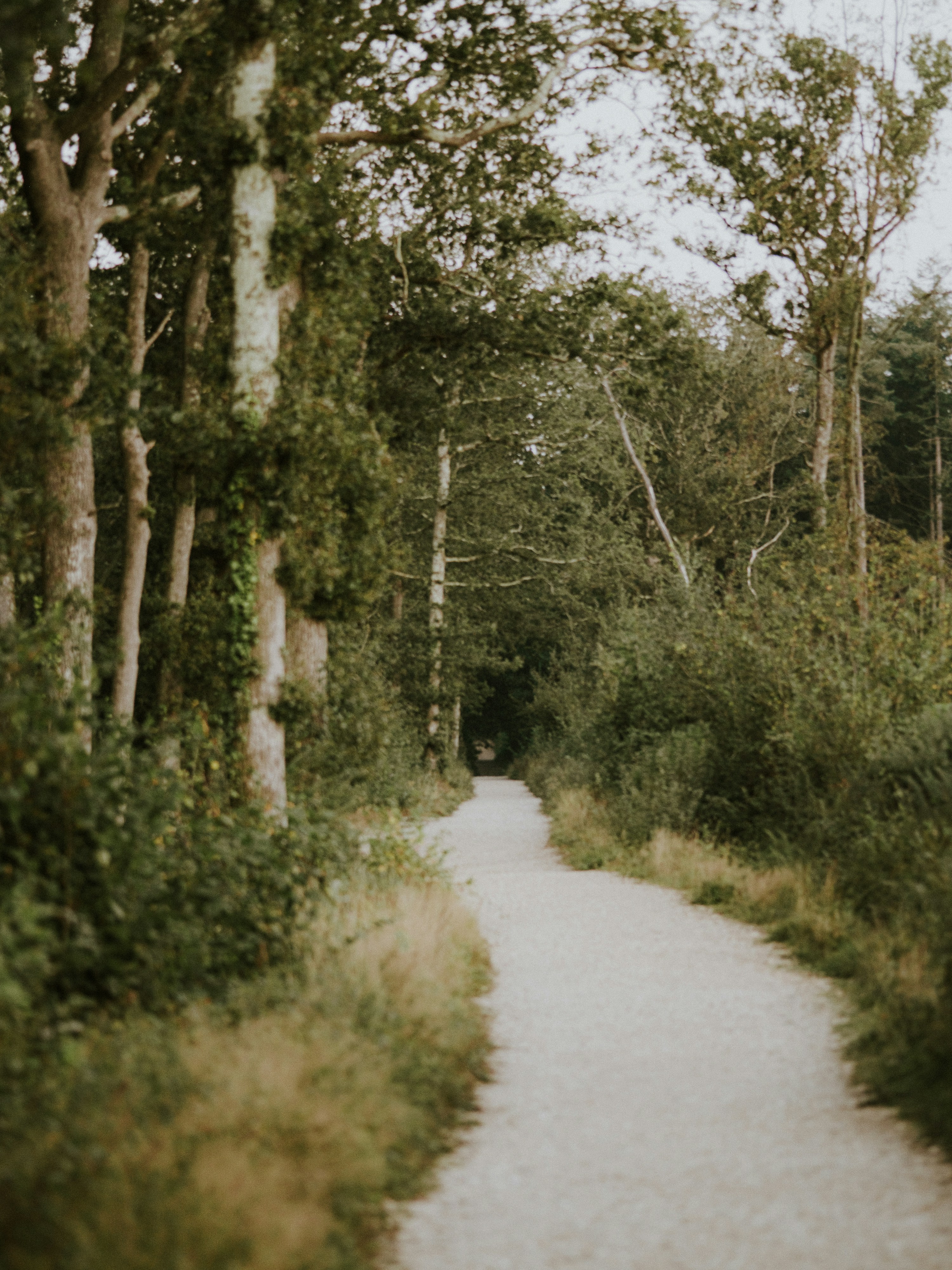 Photo by anniespratt