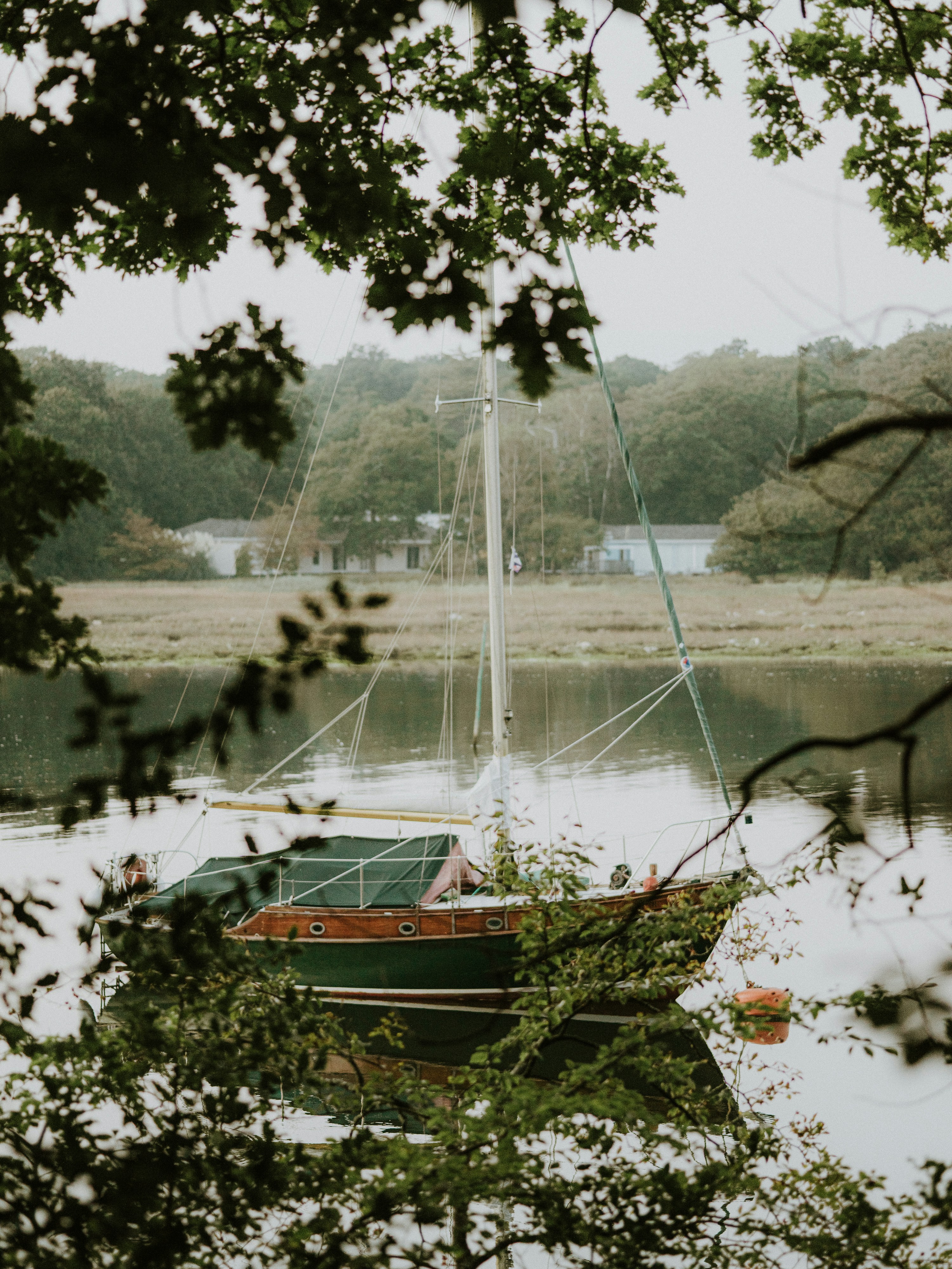 Photo by anniespratt