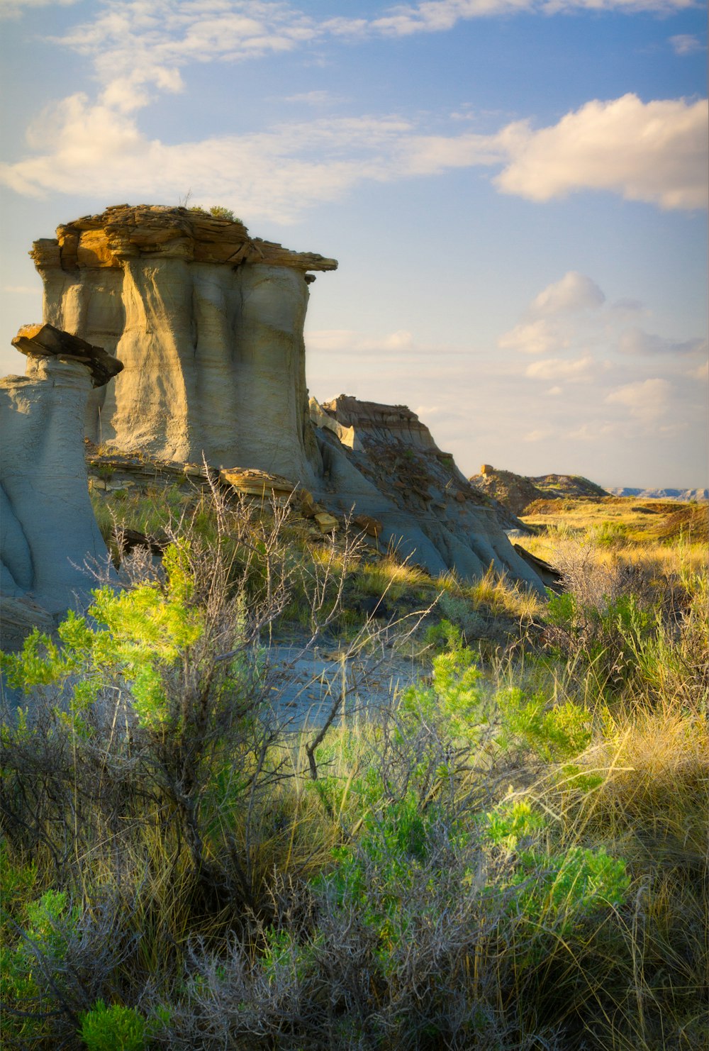 a rocky outcropping in the middle of a field