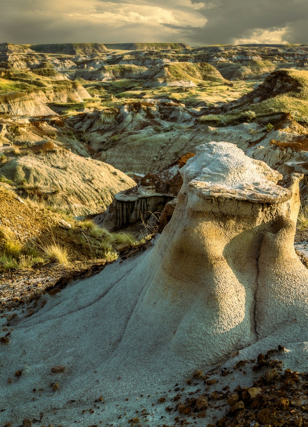 a large rock formation in the middle of a field