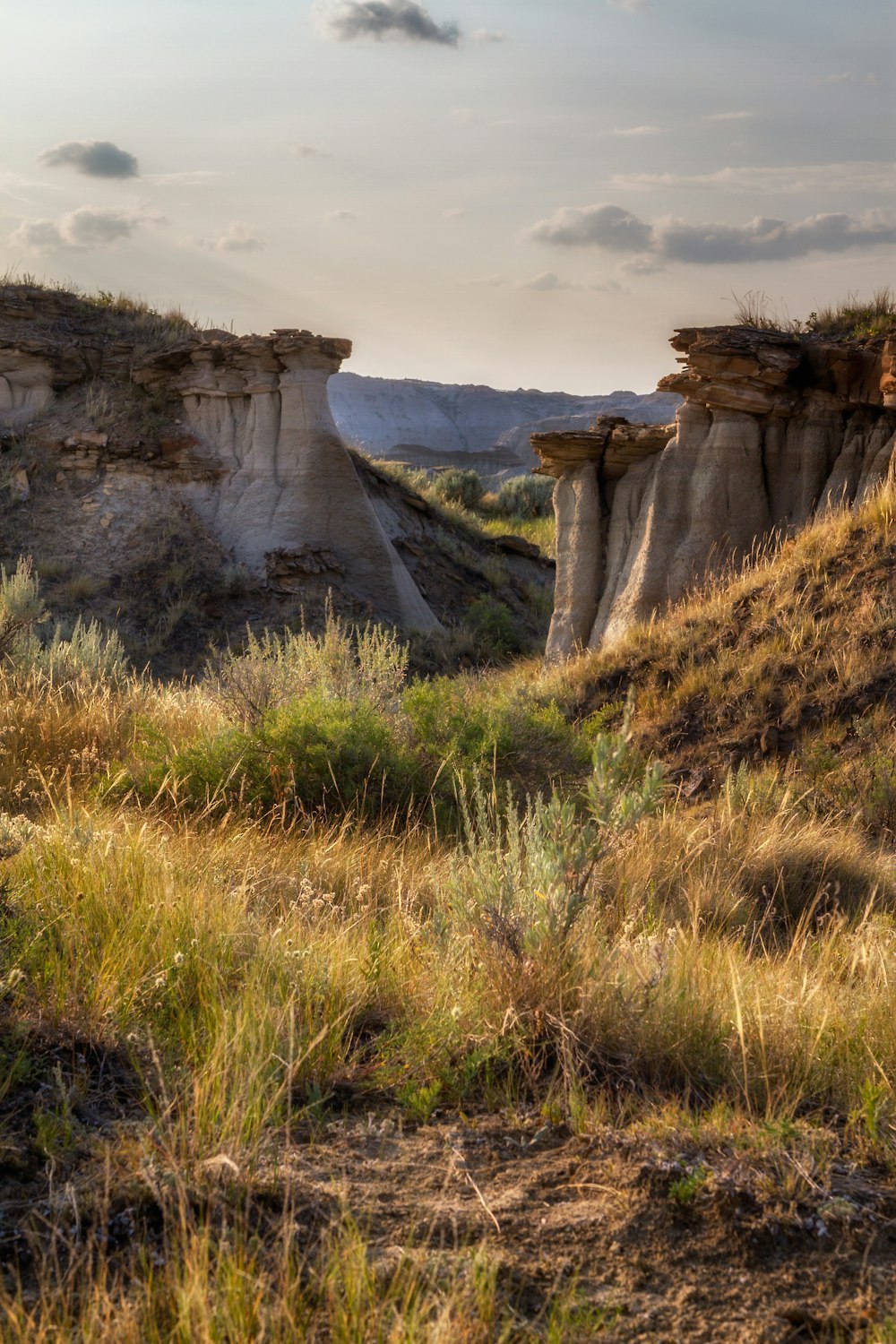 a grassy area with a cliff formation in the background