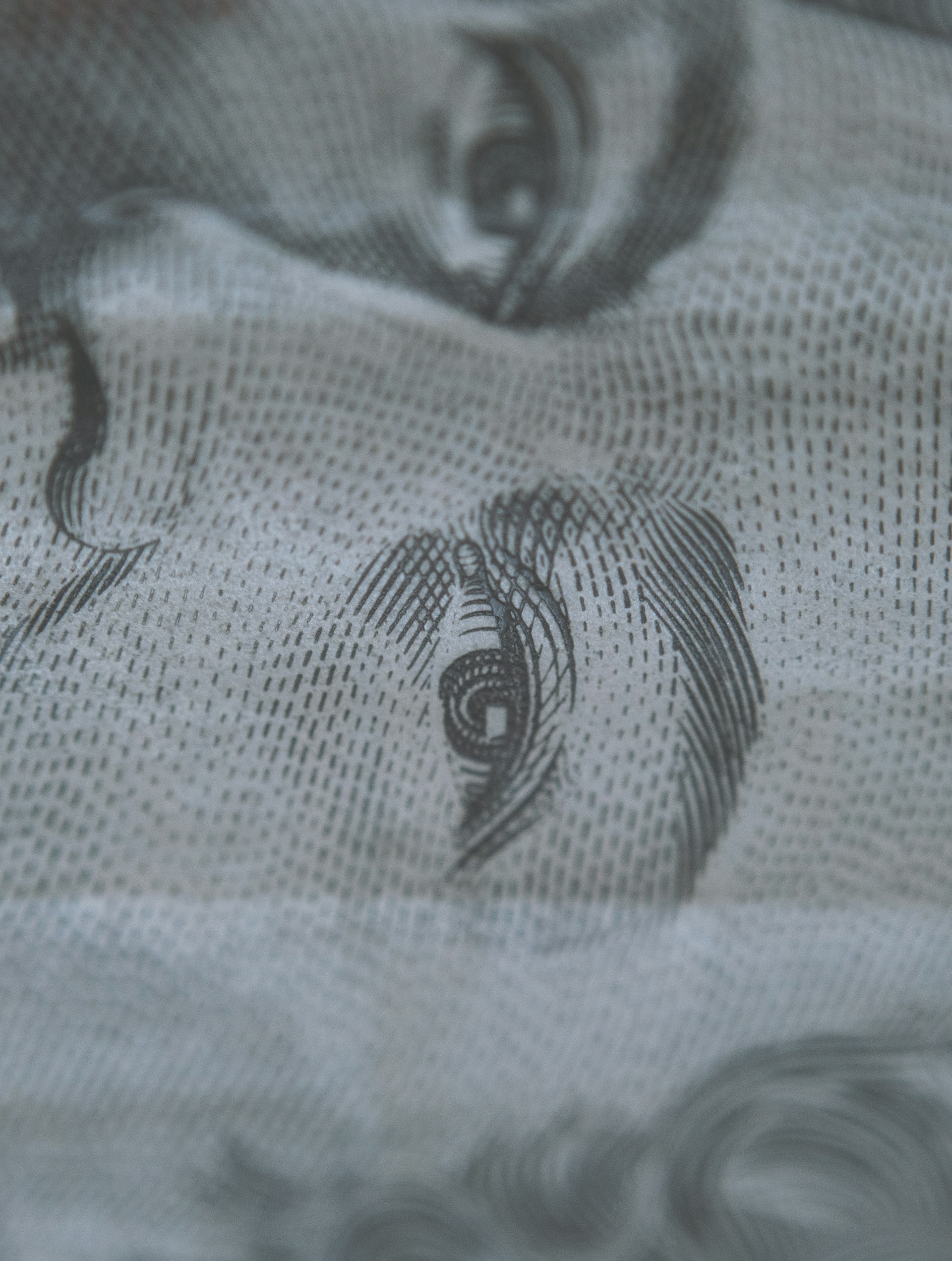 A macro close-up of a ten-dollar bill.