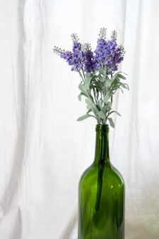 Close-up of a glass bottle filled with creamy lavender-infused milk surrounded by fresh lavender sprigs on a rustic wooden table.