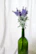 A delicate herbal body oil bottle resting on matte forest green fabric with sprigs of lavender nearby.