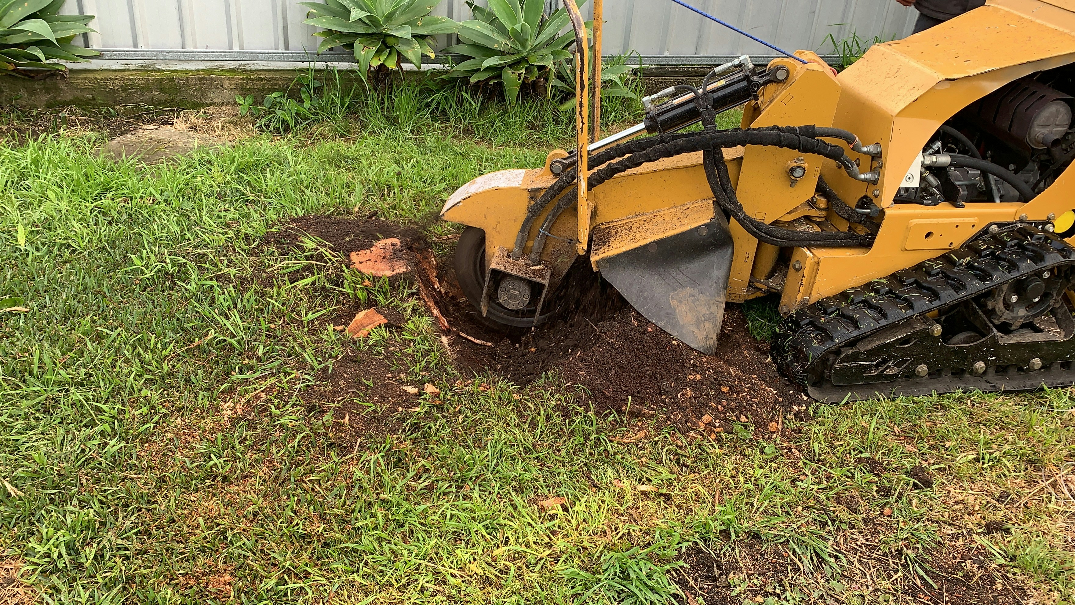 Understanding Stump Removal Costs: What to Expect