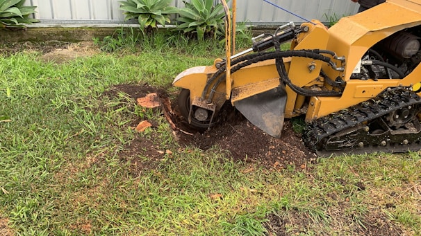 Close-up of a heavy-duty stump grinder chipping away at a stubborn tree stump in a sunny Eastpointe yard.