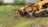 Close-up of a worker removing a tree stump in a residential garden.