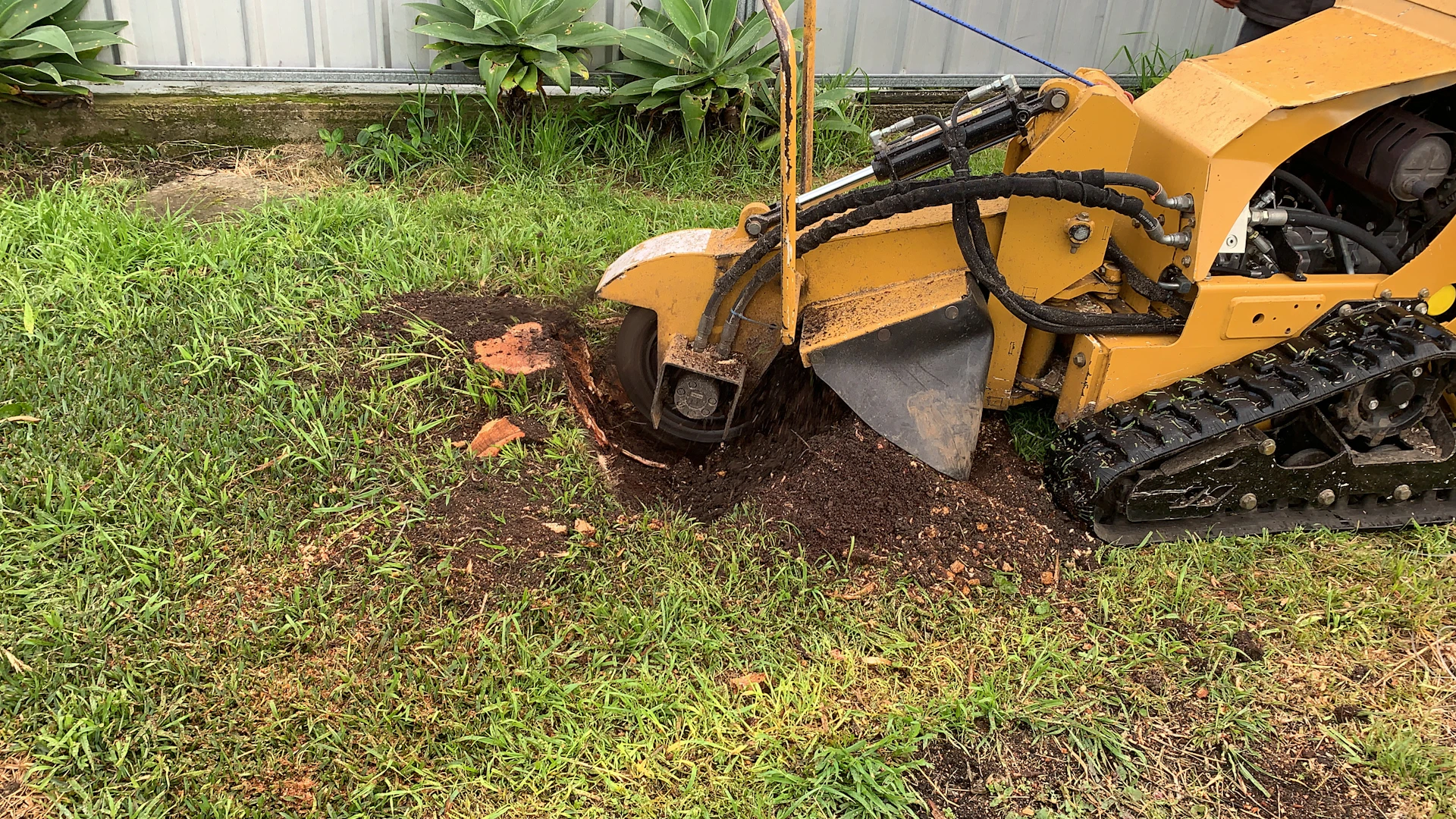 A skilled technician gently handling eco-friendly tools used for stump grinding in a sunny outdoor setting.