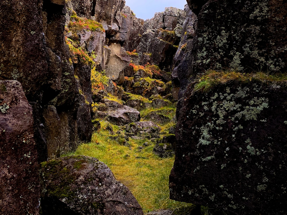 a rocky area with grass and rocks in the foreground