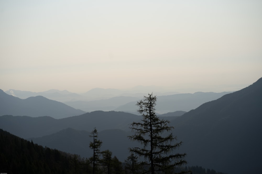 a view of a mountain range with trees in the foreground