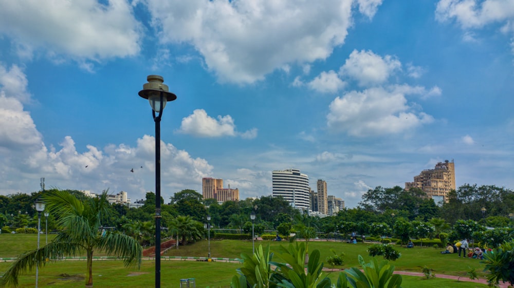 a view of a park with a lot of trees and buildings in the background