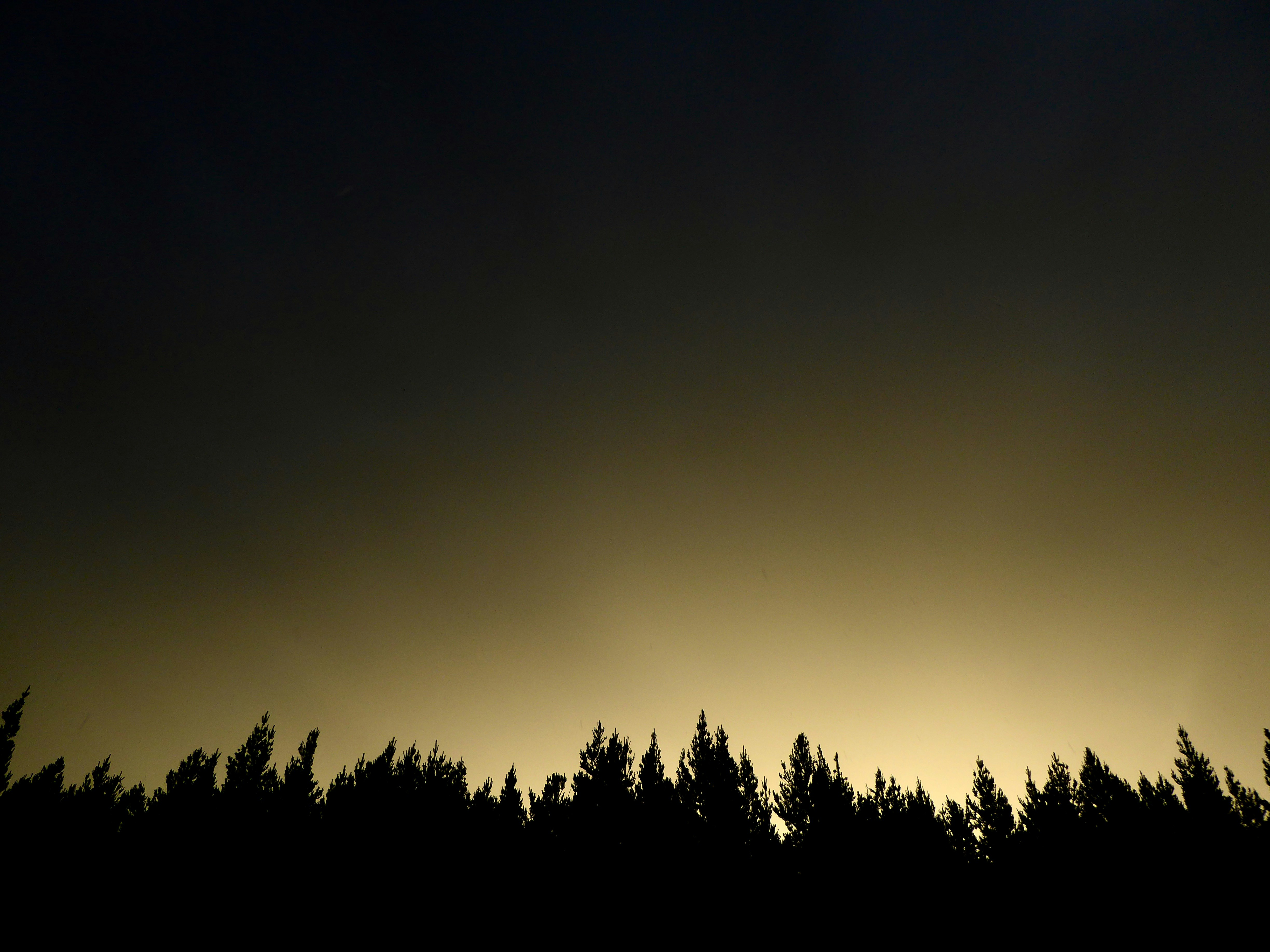 Photo by traumhaendler