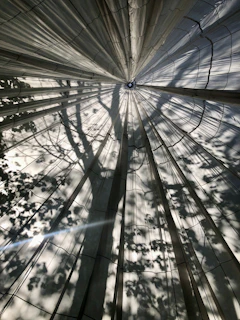 Sunlight filtering through textile art dyed with foraged plants