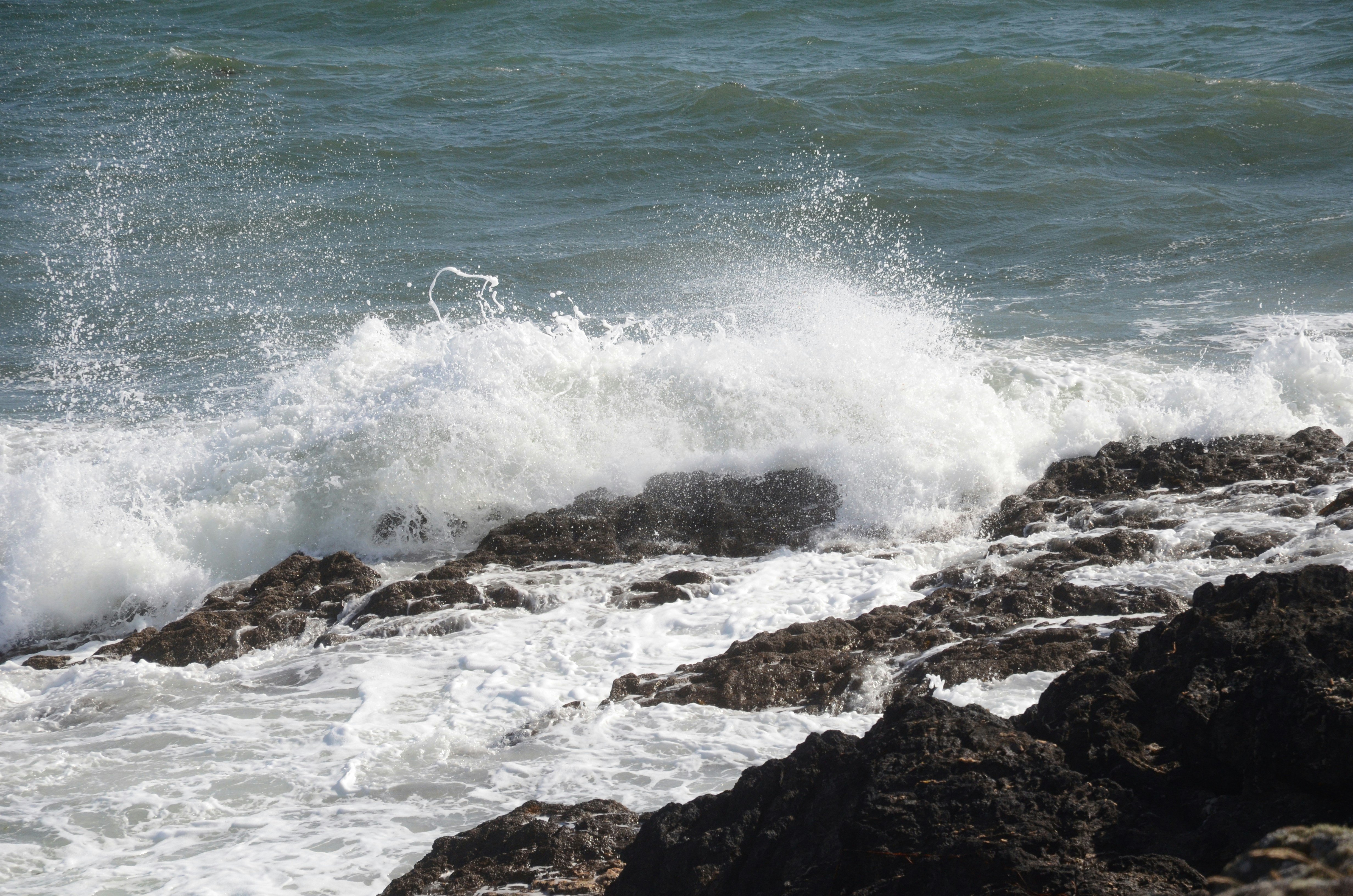 Photo by lamartine55