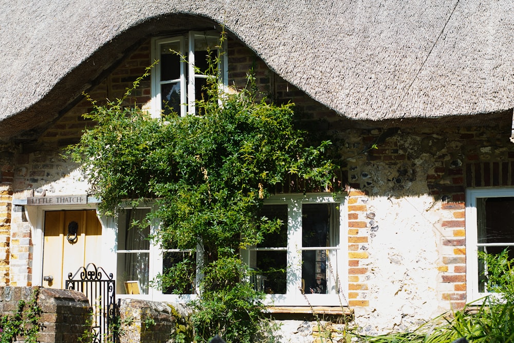 a house with a thatched roof and white windows