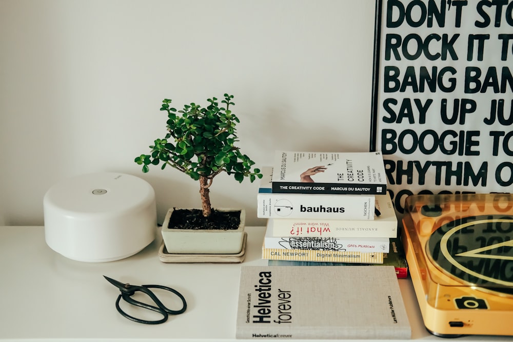 una mesa blanca cubierta con libros y una planta en maceta