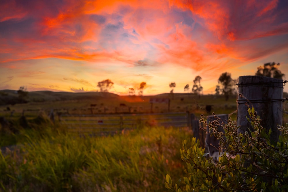 un champ avec une clôture et un coucher de soleil en arrière-plan